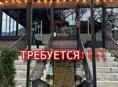 Требуется посудамойщица и повар абхазской кухни (парень)
