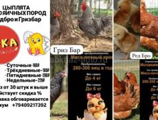 Продаются 