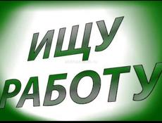 Ищу работу 