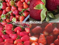 Клубника