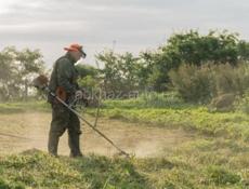 Гудаута Пицунда Афон косить траву бригада 