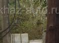 Звонить или писать на Вотсапп 7752026 Продается корова должна оттелиться в апреле  И бычок годовалый 