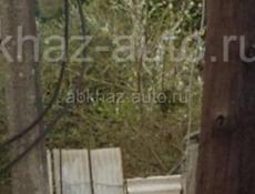 Звонить или писать на Вотсапп 7752026 Продается корова должна оттелиться в апреле  И бычок годовалый 