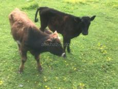 Продам 