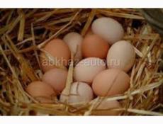 Продается мандариновый сок,банка 300 р  Также домашние яйца, десяток 200 р  Центральный рынок  Звонить или писать на Вотсапп 7752026