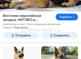 Срочно авчарка