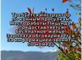 По телефону 