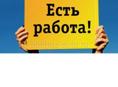 Ищу реализатора.