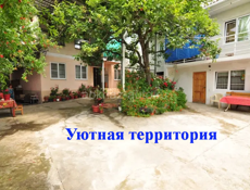 Сдается в аренду Гостевой дом п. Цандрипш Абхазия
