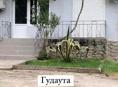 Сдается помещение в Гудауте в районе вокзала