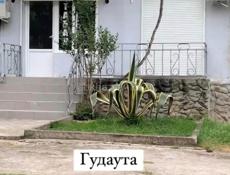 Сдается помещение в Гудауте в районе вокзала