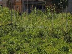 Продается дом с земельным участком 13 соток в Пицунде с.Алахадзы
