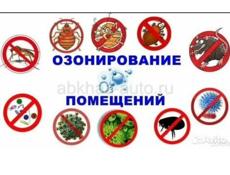 Уничтожение короедов, термитов, скорпионов 
