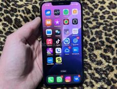 iPhone 12 Pro Max 