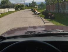 ПОКОС ТРАВЫ