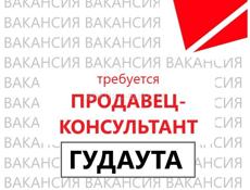 Продавец (г.Гудаута)