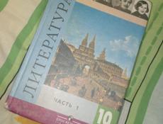 Книга по литературе за 10 класс 