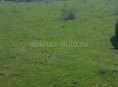 Бамбора 