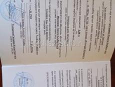 Продаётся срочно в Алахадзе 