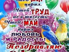 Продаю телку 65-70кг