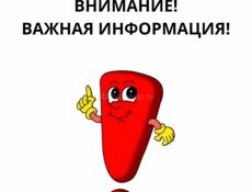 Ищу работу срочно 