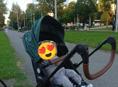 Коляска 2в 1