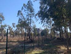 Кындыг у Источника !