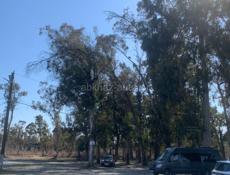 Кындыг у Источника !