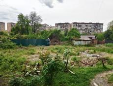 600 т такая цена неделю