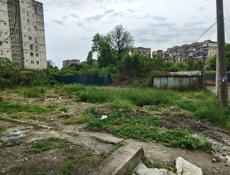 600 т такая цена неделю