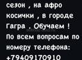 Требуются девочки на летний сезон на плетение косичек 