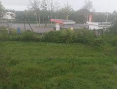 Очень срочно 