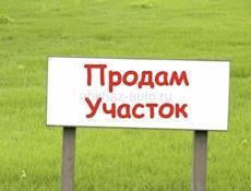 земля на черной речке 