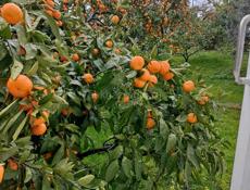 Продажа жилого 2 эт.дома с видом на море и горы