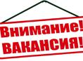 Требуются сотрудники на шведскую линию