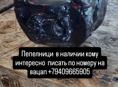 Пепелници 