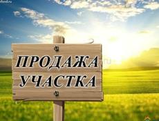 Участок в Сухуми