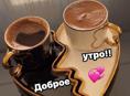 Джунгарские сирийские хомяки.