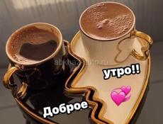 Джунгарские сирийские хомяки.
