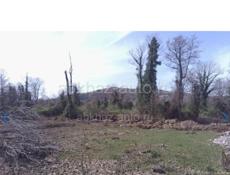 Участок на границе район сальм 