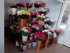 продается торговая точка внутри Гудаутского рынка .