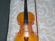 🎻