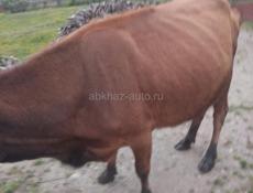 Продажа