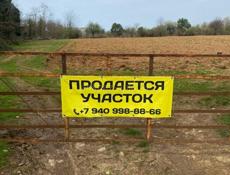 Бамбора 0,5 га