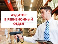 Аудитор в ревизионный отдел