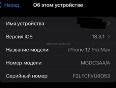 iPhone 12 Pro Max 256G