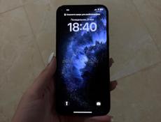iPhone 12 Pro Max 256G