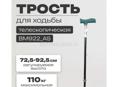 Приму в дар две трости 