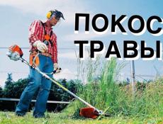 Покос травы 300₽