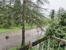 Срочно сегодня только до завтра 